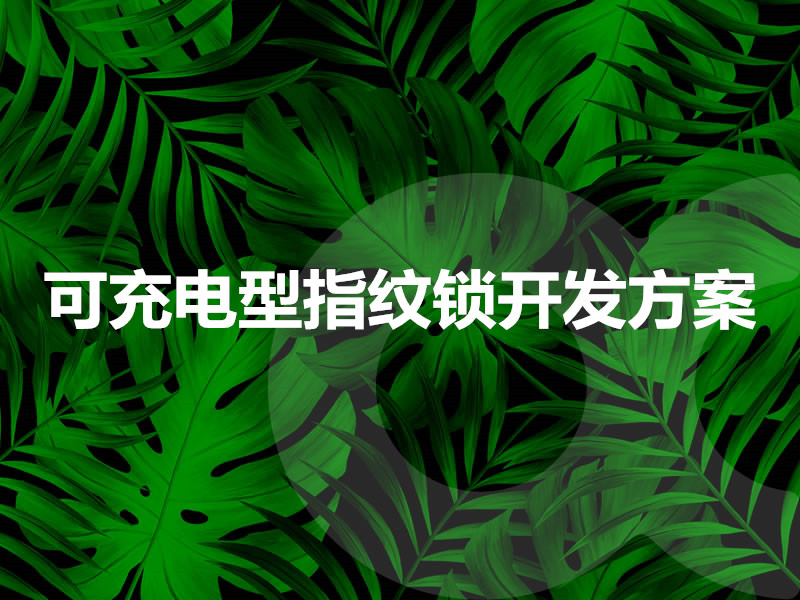 可充電型指紋鎖開發(fā)方案