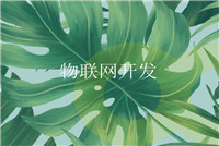 軟件開(kāi)發(fā)領(lǐng)域未來(lái)是否會(huì)持續(xù)釋放發(fā)展機(jī)會(huì)